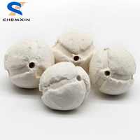6mm 8mm 10mm 13mm 16mm al2o3 porous porcelain beads ceramic balls as supporting material